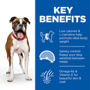 Picture of an adult brown and white boxer dog pictured next to a blue section with white text stating 'Key Benefits, Low calories L-Carnitine help promote ideal body weight, Satiety control. Keeps your dog satisfied between meals, Omega-6s & Vitamin E for beautiful skin & coat'. 