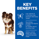 Picture of an adult brown chihuahua dog pictured next to a blue section with white text stating 'Key Benefits, Low calories & L-Carnitine help promote ideal body weight, Nourishing Omega-6 & Vitamin E blend for healthy skin & luxurious coat, Satiety control. Keeps your dog satisfied between meals'. 