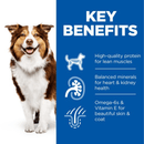 Picture of an adult brown and white collie-type dog pictured next to a blue section with white text stating 'Key Benefits, High-quality protein for lean muscles, Balanced minerals for heart & kidney health and Omega-6s & Vitamin E for beautiful skin & coat'. 