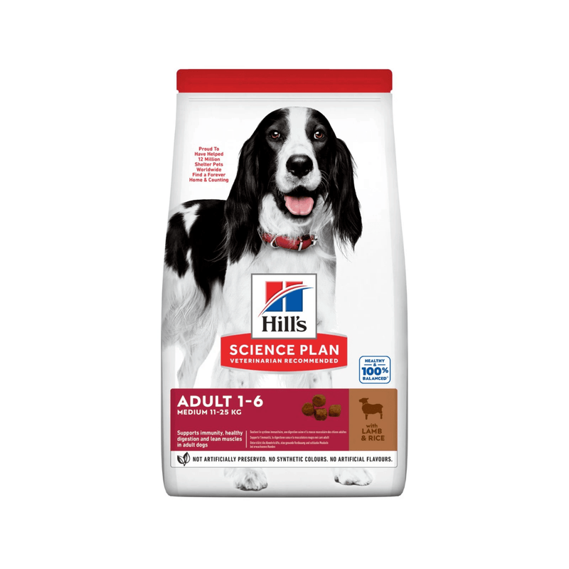 Hills Science Plan Medium Adult Dry Dog Food Lamb on white background