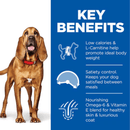 Picture of an adult blood hound pictured next to a blue section with white text stating 'Key Benefits, Low calorie & L-Carnitine help promote ideal body weight, Satiety control. Keeps your dog satisfied between meals, Nourishing Omega-6 & Vitamin E blend for healthy skin & coat'.