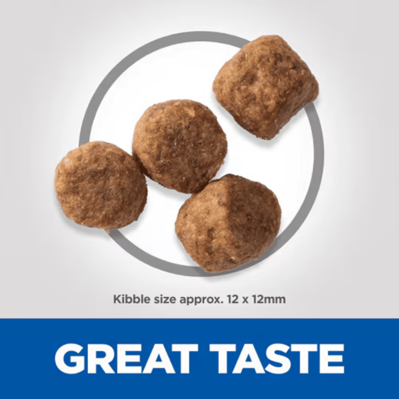Four dog kibbles pictured in a circle with text below 'Kibble size approx. 12x12mm' and a blue banner with white text 'Great Taste'. 