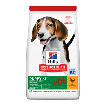 Hills Science Plan Medium Puppy Dry Dog Food Chicken on white background