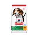 Hills Science Plan Medium Puppy Dry Dog Food Chicken on white background