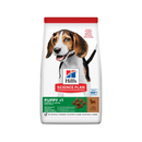 Hills Science Plan Medium Puppy Dry Dog Food Lamb on white background