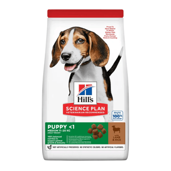 Hills Science Plan Medium Puppy Dry Dog Food Lamb on white background