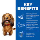 Picture of an adult brown Dachshund dog pictured next to a blue section with white text stating 'Key Benefits, Clinically proven technology reduces & tartar build-up, Interlocking fibre technology cleans teeth to help freshen breath with every bite, Omega-6s & Vitamin E for luxurious fur'. 