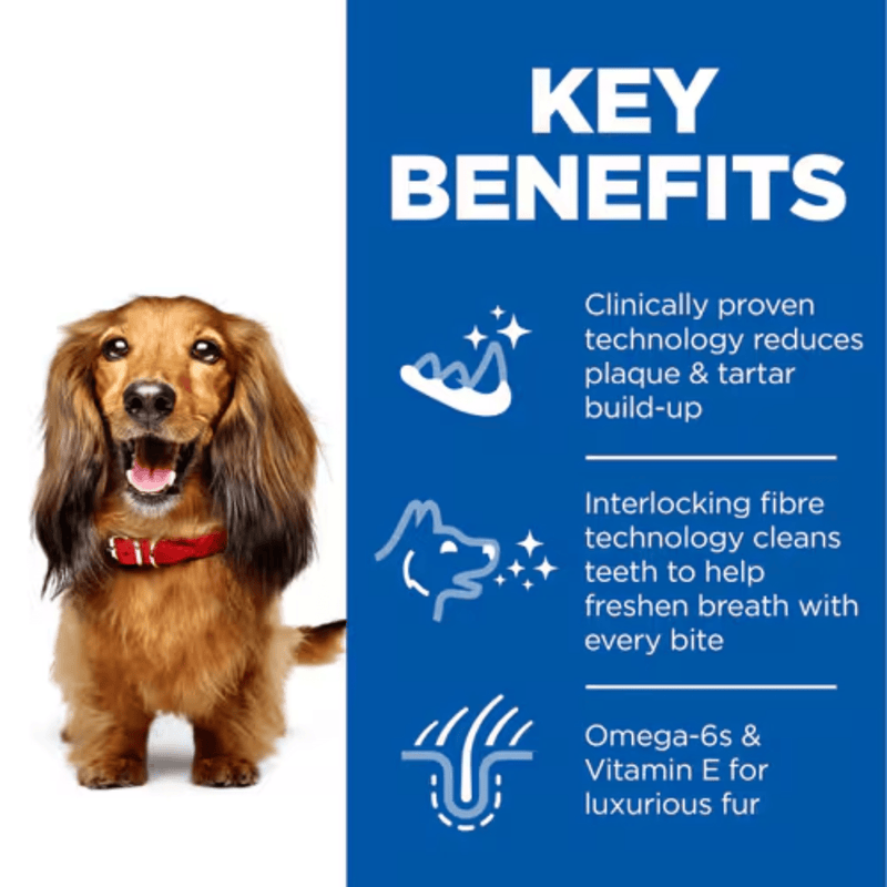 Picture of an adult brown Dachshund dog pictured next to a blue section with white text stating 'Key Benefits, Clinically proven technology reduces & tartar build-up, Interlocking fibre technology cleans teeth to help freshen breath with every bite, Omega-6s & Vitamin E for luxurious fur'. 