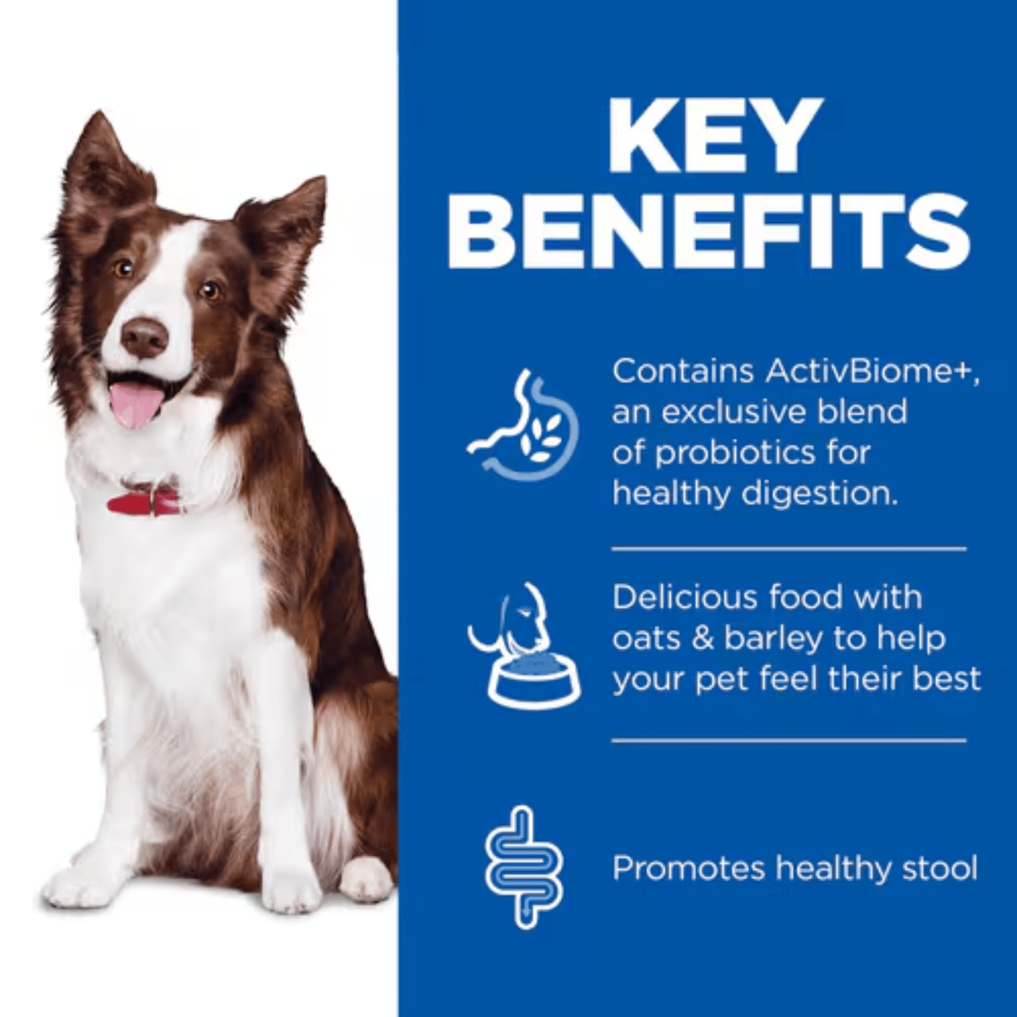 Hills Science Plan Perfect Digestion Adult Dog Wet Food - 12x363g ...