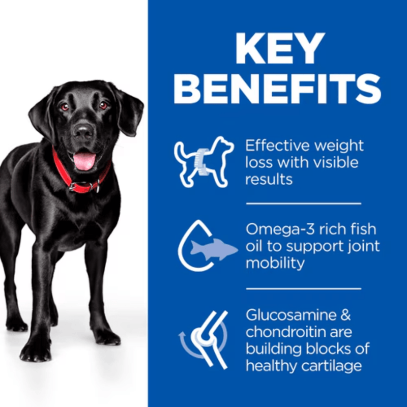 Picture of an adult black Labrador dog pictured next to a blue section with white text stating 'Key Benefits, Effective weight loss with visible results, Omega-3 rich fish oil to support joint mobility, Glucosamine & chondroitin are building blocks of healthy cartilage'.