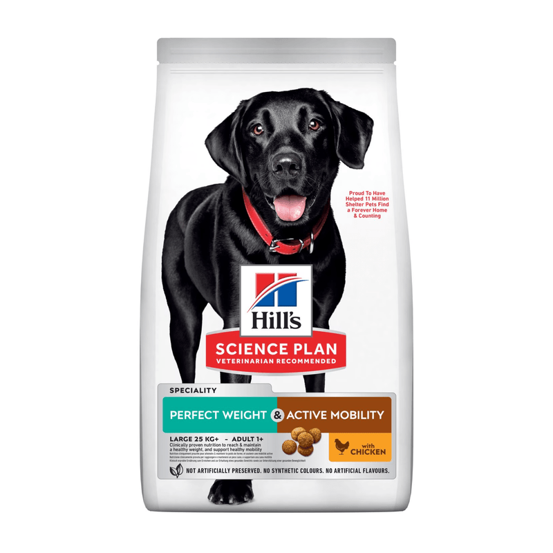 Hills Science Plan dry dog food packaged in a white bag with a black Labrador dog pictured on the bag. Text on bag say 'Hill's Science Plan, veterinarian recommended' and 'Perfect Weight & Active Mobility, Large 25kg+, Adult 1+' with a chicken pictured with text 'with chicken' beneath on white background. 