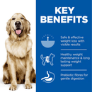 Picture of an adult Golden Retriever dog pictured next to a blue section with white text stating 'Key Benefits, Safe & effective weight loss with visible results, Healthy weight maintenance & long lasting weight support, Prebiotic fibres for gentle digestion'.