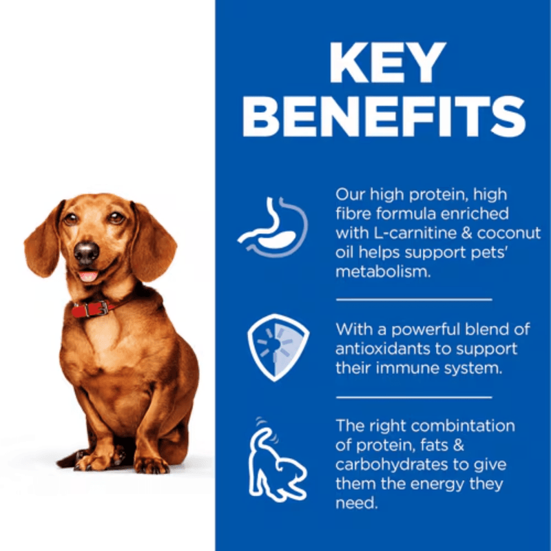 Picture of an adult brown dachshund dog pictured next to a blue section with white text stating 'Key Benefits, Our high protein, high fibre formula enriched with L-carnitine & coconut oil helps support pets' metabolism, With a powerful blend of antioxidants to support their immune system. The right combination of protein, fats & carbohydrates to them the energy they need.'
