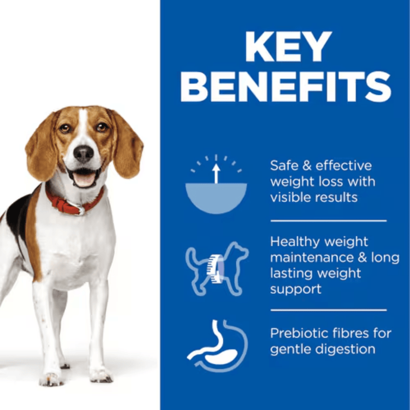 Picture of an adult beagle-type dog pictured next to a blue section with white text stating 'Key Benefits, Safe & effective weight loss with visible results, Healthy weight maintenance & long lasting weight support, Prebiotic fibres for gentle digestion'. 