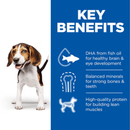 Picture of an adult beagle-type Puppy pictured next to a blue section with white text stating 'Key Benefits, DHA from fish oil for healthy brain & eye development, Balanced minerals for strong bones & teeth, High-quality protein for building lean muscles'.