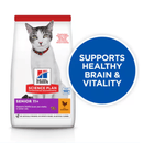 Hills Science Plan cat dry food packaged in a white bag with an adult tabby and white cat pictured on the bag. Text on bag say 'Hill's Science Plan, veterinarian recommended' and 'Senior 11+' with a chicken pictured with text 'with chicken' beneath on white background. Large blue circle pictured over the side of the bag with white text saying 'Supports healthy brain & vitality'. 