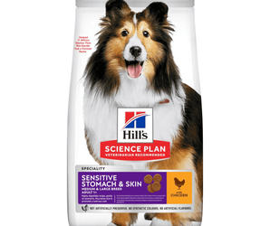 Hills Science Plan dry dog food packaged in a white bag with a medium adult brown and white collie dog pictured on the bag. Text on bag say 'Hill's Science Plan, veterinarian recommended' and 'Sensitive stomach & Skin, Adult 1+' with a chicken pictured with text 'with chicken' beneath on white background. 