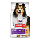 Hills Science Plan dry dog food packaged in a white bag with a medium adult brown and white collie dog pictured on the bag. Text on bag say 'Hill's Science Plan, veterinarian recommended' and 'Sensitive stomach & Skin, Adult 1+' with a chicken pictured with text 'with chicken' beneath on white background. 