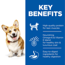 Hills Science Plan Small Adult Dry Dog Food info graphic, text reads 'Key benefits, High-quality protein for lean muscles, Nourishing omega-6 & Vitamin E blend for healthy skin & luxurious coat, Easy-to-digest ingredients for healthy digestion.' 