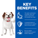 Picture of an adult brown and white dog pictured next to a blue section with white text stating 'Key Benefits, The right combination of protein, fats, and carbs to give them the energy they need, A powerful blend of antioxidants to support their immune system. Easy-to-digest ingredients to support healthy digestion.' 