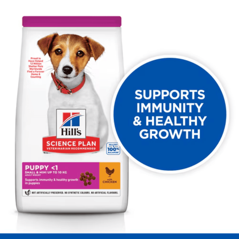 Hills Science Plan Small Puppy Dry Dog Food Chicken info graphic