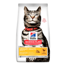Hills Science Plan cat dry food packaged in a white bag with an adult tabby cat pictured on the bag. Text on bag say 'Hill's Science Plan, veterinarian recommended' and 'Urinary Health, Adult 1 year+' with a chicken pictured with text 'with chicken' beneath on white background. 