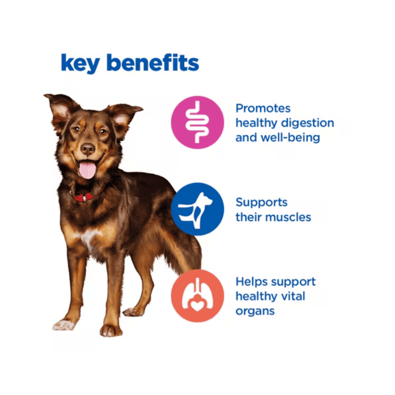 Picture of an adult brown and tan dog pictured next to a section with blue text stating 'Key Benefits, Promotes healthy digestion and well-being, Supports their muscles, Helps support healthy vital organs.'