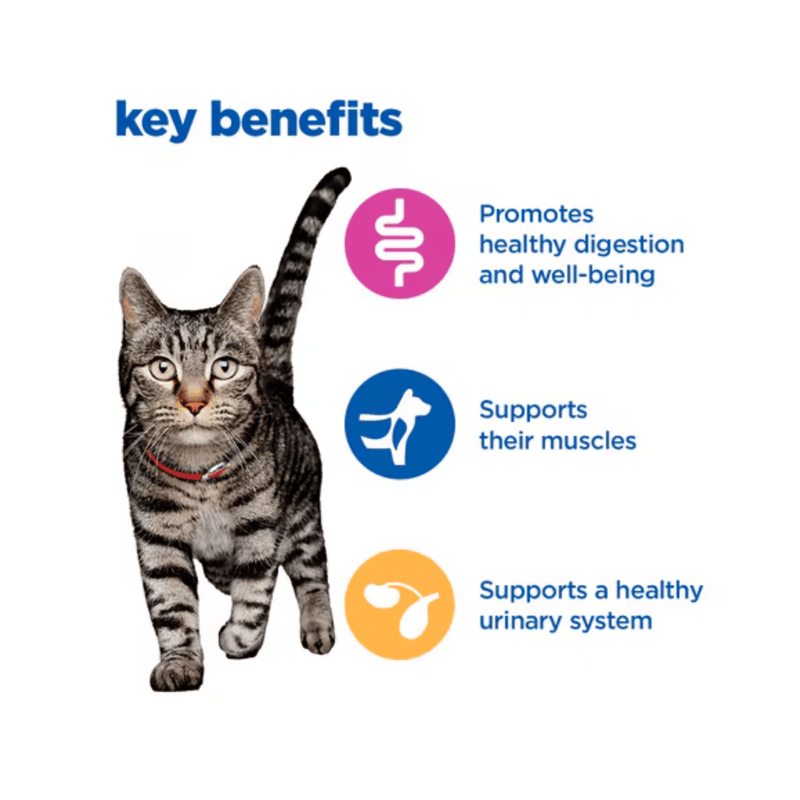 Picture of an adult tabby and white cat pictured next to a section with blue text stating 'Key Benefits, Promotes healthy digestion and well-being, Supports their muscles, Supports a healthy urinary system.'