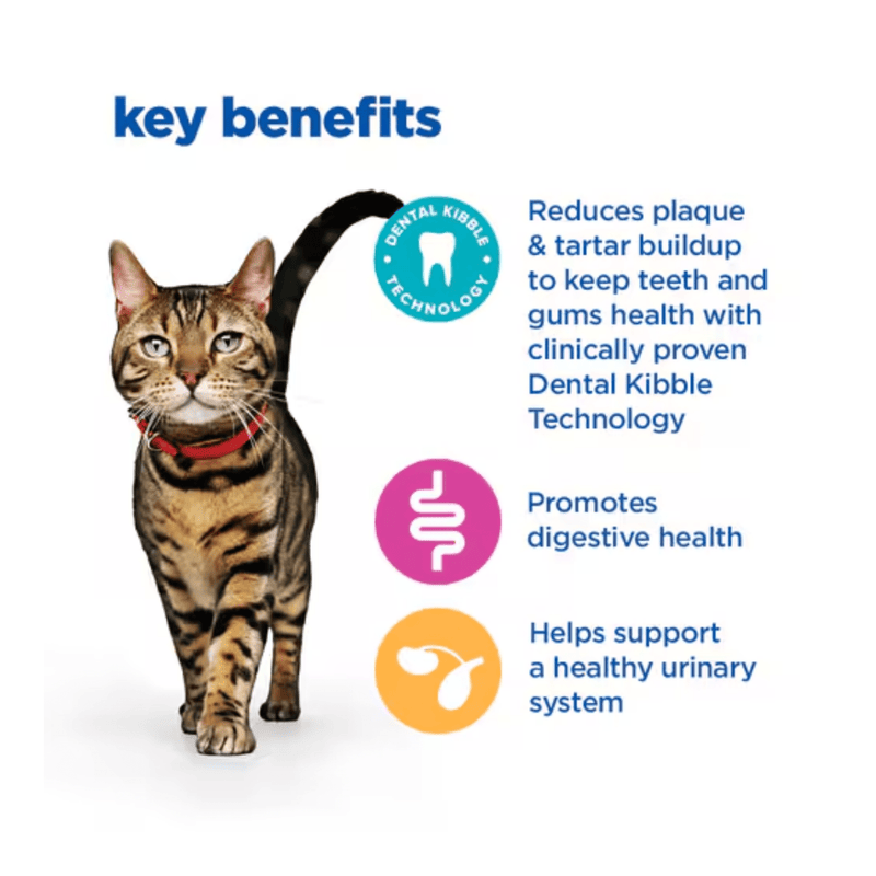 Picture of an adult tabby cat pictured next to a section with blue text stating 'Key Benefits, Reduces plaque & tartar build-up to keep teeth and gums healthy with clinically proven Dental Kibble Technology, Promotes healthy digestion, Helps support a healthy urinary system.'