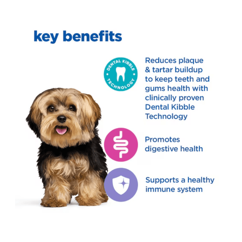 Picture of an adult Yorkshire terrier dog pictured next to a section with blue text stating 'Key Benefits, Reduces plaque & tartar build-up to keep teeth and gums healthy with clinically proven Dental Kibble Technology, Promotes digestive health, Supports a healthy immune system.'