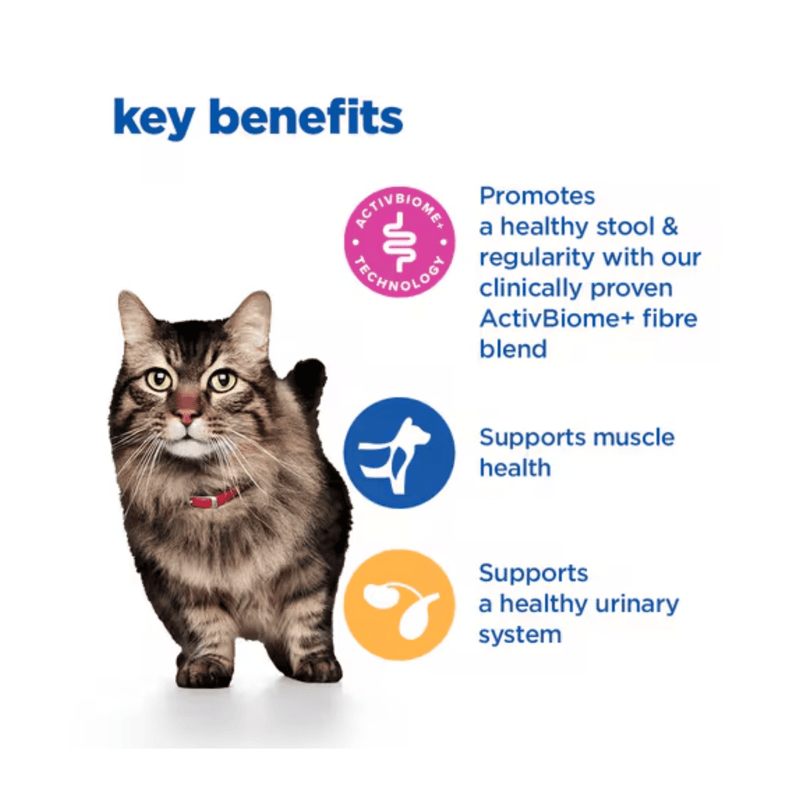 Picture of an adult tabby cat pictured next to a section with blue text stating 'Key Benefits, Promotes a healthy stool & regularity with our clinically proven ActivBiome+ fibre blend, Supports muscle health, Supports a healthy urinary system.'