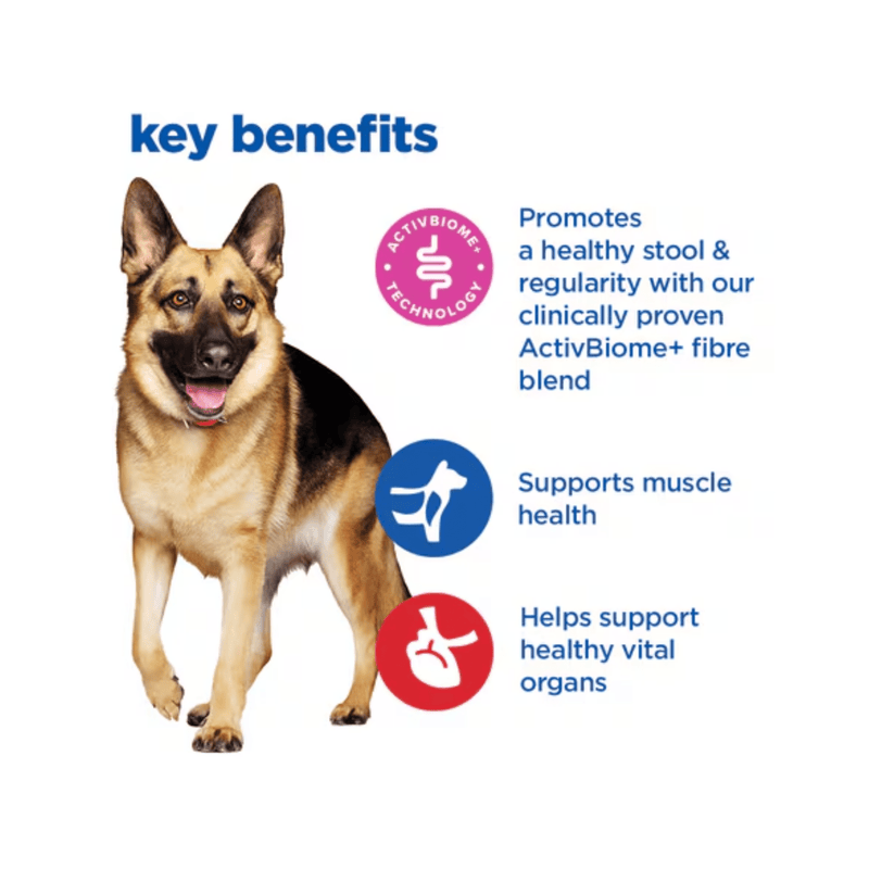 Picture of a small adult brown and white dog pictured next to a section with blue text stating 'Key Benefits, Promotes a healthy stool & regularity with our clinically proven ActivBiome+ fibre blend, Supports muscle health, Helps support healthy vital organs'. 