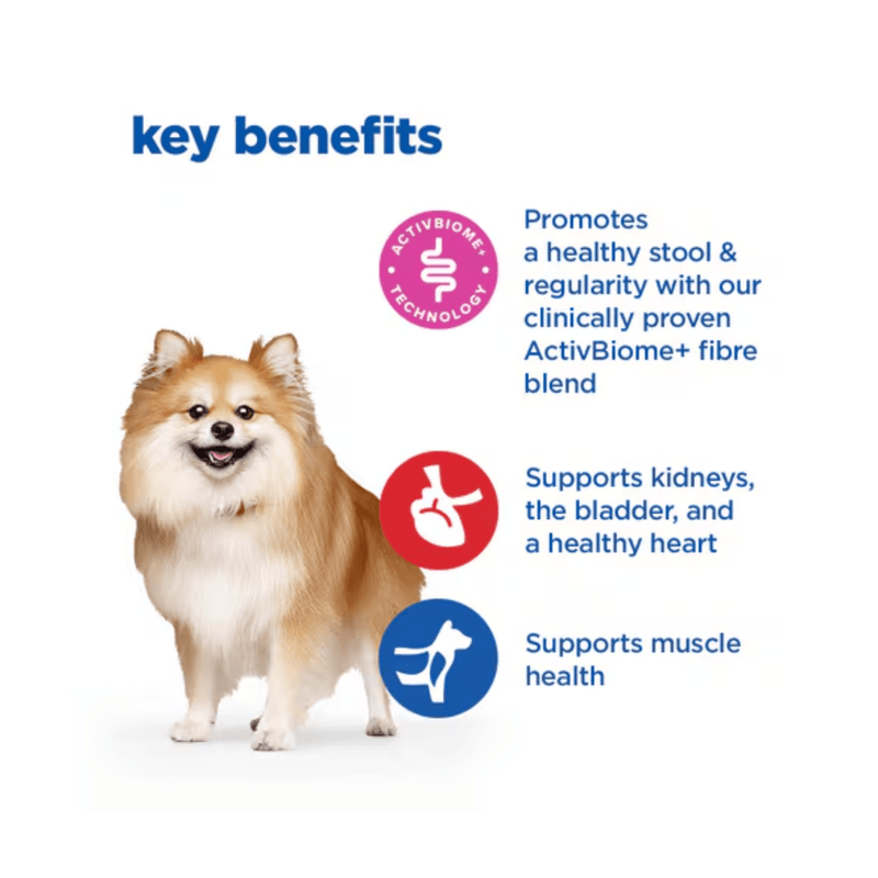 Picture of a small adult brown and white dog pictured next to a section with blue text stating 'Key Benefits, Promotes a healthy stool & regularity with our clinically proven ActivBiome+ fibre blend, Supports kidneys, the bladder and a healthy heart, Supports muscle health'. 