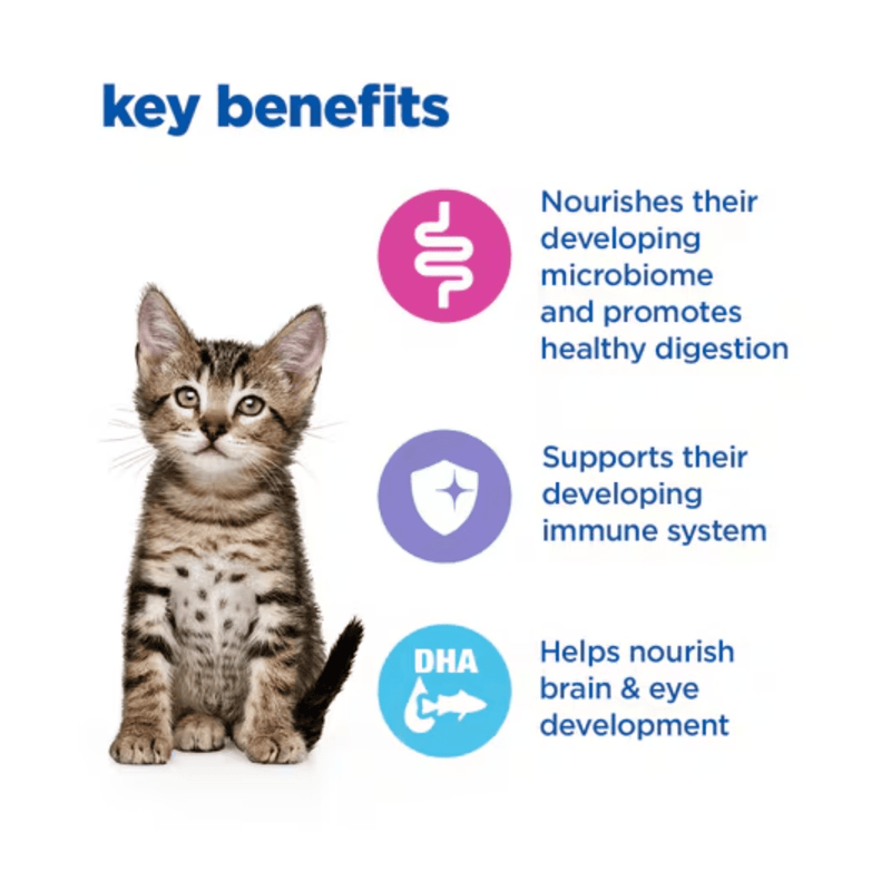 Picture of a tabby kitten pictured next to a section with blue text stating 'Key Benefits, Nourishes their developing microbiome and promotes healthy digestion, Supports their developing immune system, Helps nourish brain & eye development.'