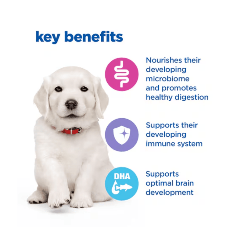 Picture of a Golden Labrador puppy pictured next to a section with blue text stating 'Key Benefits, Nourishes their developing microbiome and promotes healthy digestion, Supports their developing immune system, Supports optimal brain development'.