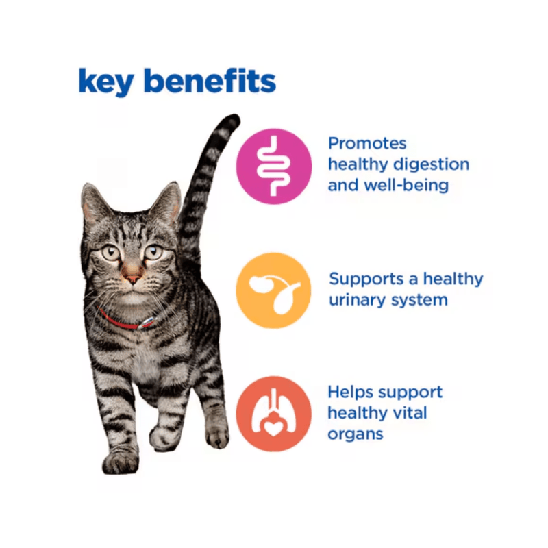 Picture of an adult tabby and white cat pictured next to a section with blue text stating 'Key Benefits, Promotes healthy digestion and well-being, Supports a healthy urinary system, Helps support healthy vital organs.' 