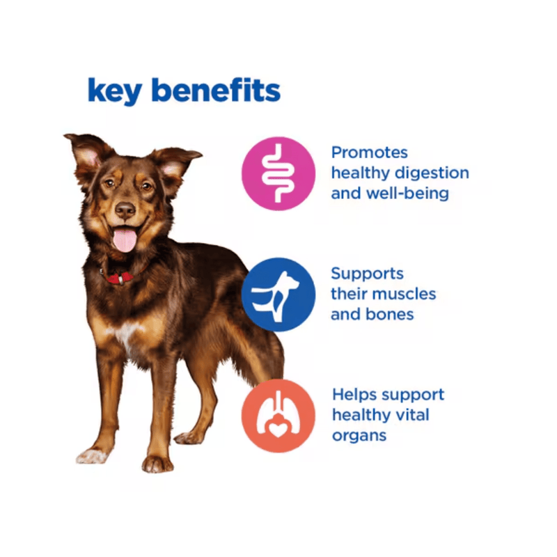 Picture of an adult brown and tan collie type dog pictured next to a section with blue text stating 'Key Benefits, Promotes healthy digestion and well-being, Supports their muscles and bones, Helps support healthy vital organs.'