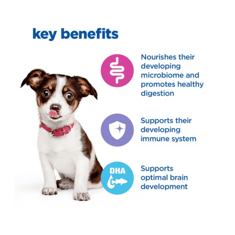 Picture of a Jack Russell puppy pictured next to a section with blue text stating 'Key Benefits, Nourishes their developing microbiome and promotes healthy digestion, Supports their developing immune system, Supports optimal brain development'.