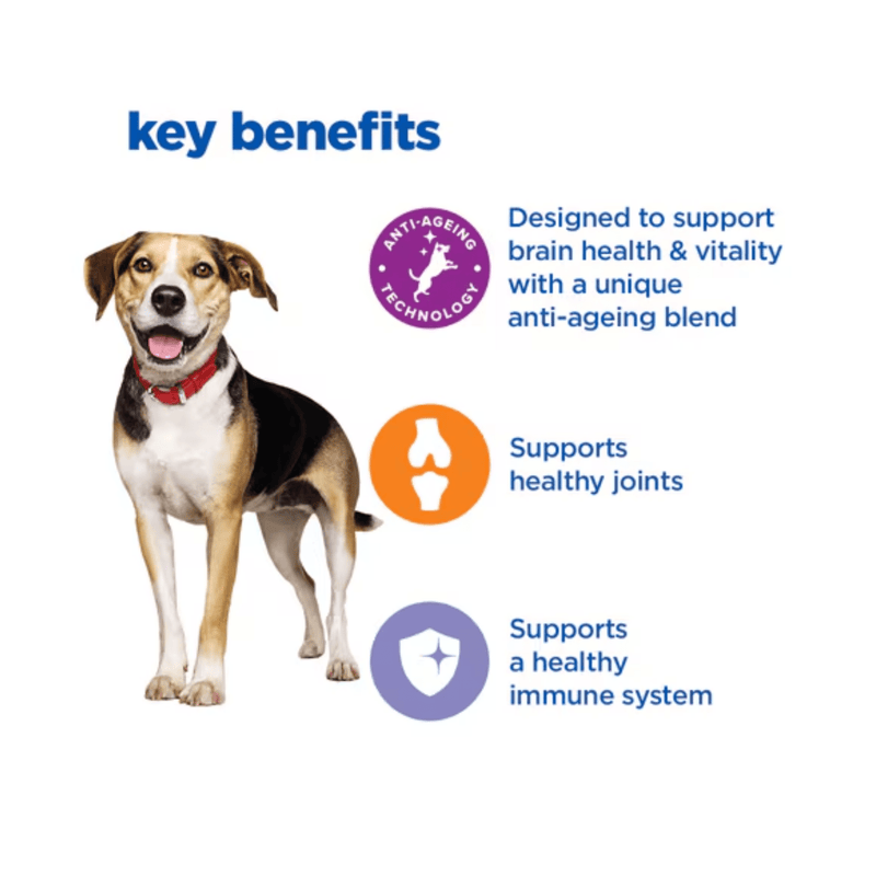 Picture of a large mature adult brown, black and white dog pictured next to a section with blue text stating 'Key Benefits, Designed to support brain health & vitality with a unique anti-ageing blend, Supports healthy joints, Supports a healthy immune system.' 