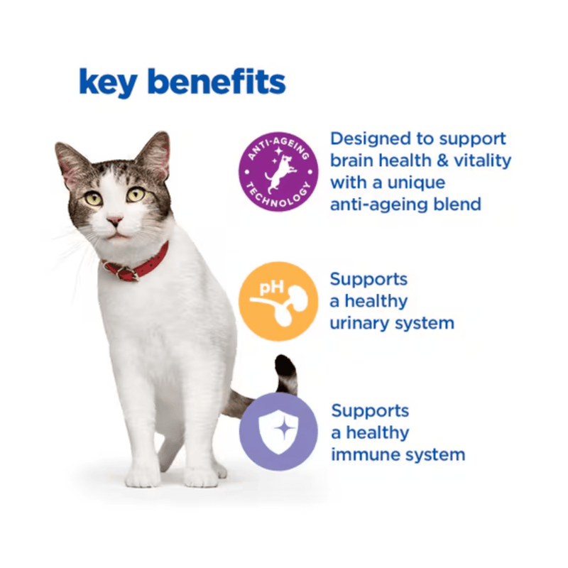 Picture of an adult tabby and white cat pictured next to a section with blue text stating 'Key Benefits, Designed to support brain health & vitality with a unique anti-ageing blend, Supports a healthy urinary system, Helps support ahealthy immune system'.