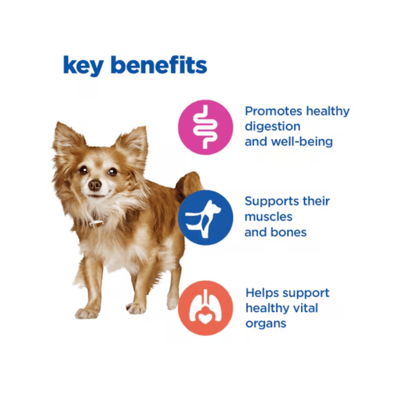 Picture of a small adult brown and white dog pictured next to a section with blue text stating 'Key Benefits, Promotes healthy digestion and well-being, Supports their muscles and bones, Helps support healthy vital organs.'