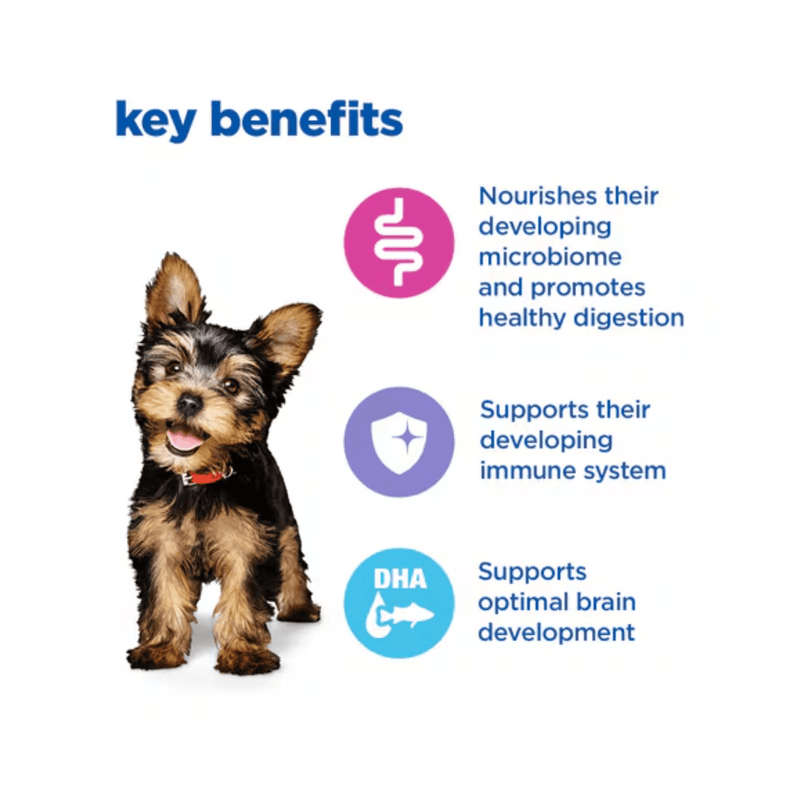 Picture of a Yorkshire terrier puppy pictured next to a section with blue text stating 'Key Benefits, Nourishes their developing microbiome and promotes healthy digestion, Supports their developing immune system, Supports optimal brain development'.