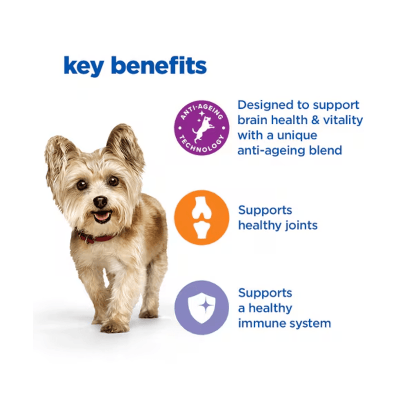Picture of a small mature adult brown dog pictured next to a section with blue text stating 'Key Benefits, Designed to support brain health & vitality with a unique anti-ageing blend, Supports healthy joints, Supports a healthy immune system.' 