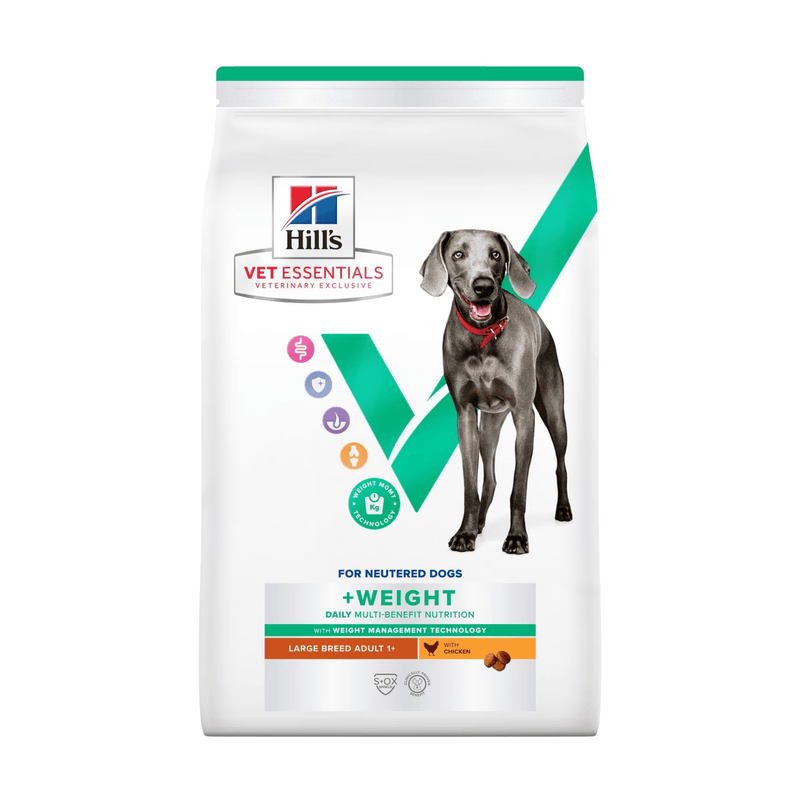 Hills Vet Essentials dry dog food packaged in a white bag with an large adult grey dog pictured on the bag. Text on bag says 'Hill's Vet Essentials, veterinary exclusive' and '+Weight, Large Breed, Adult 1+' with a chicken pictured with text 'with Chicken' beneath on white background. 