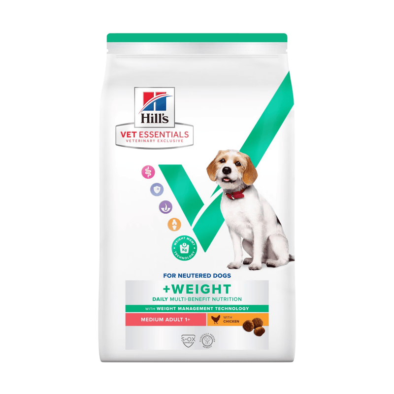 Hills Vet Essentials dry dog food packaged in a white bag with an adult brown and white dog pictured on the bag. Text on bag says 'Hill's Vet Essentials, veterinary exclusive' and '+Weight, Medium, Adult 1+' with a chicken pictured with text 'with Chicken' beneath on white background. 
