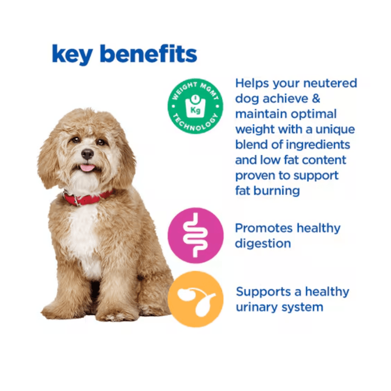Picture of a small adult brown and white dog pictured next to a section with blue text stating 'Key Benefits, Helps your neutered dog achieve & maintain optimal weight with a unique blend of ingredients and low fat content proven to fat burning, Promotes healthy digestion, Supports a healthy urinary system.'