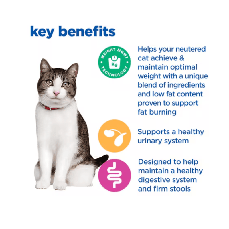 Picture of an adult tabby and white cat pictured next to a section with blue text stating 'Key Benefits, Helps your neutered cat achieve & maintain optimal weight with a unique blend of ingredients and low fat content proven to fat burning, Supports a healthy urinary system, Designed to help maintain a healthy digestive system and firm stools.'