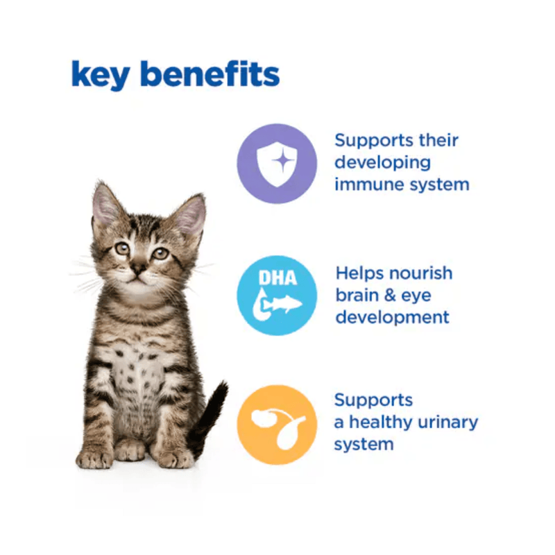 Picture of a tabby kitten pictured next to a section with blue text stating 'Key Benefits, Supports their developing immune system, Helps nourish brain & eye development, Supports a healthy urinary system.'