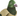 A close-up of a House of Paws plush pigeon toy with a green head, purple beak, dark green plaid neck, and beige ribbed wing on a plain white background.