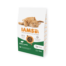 IAMS Dry Adult Cat Food Lamb 10kg on white background